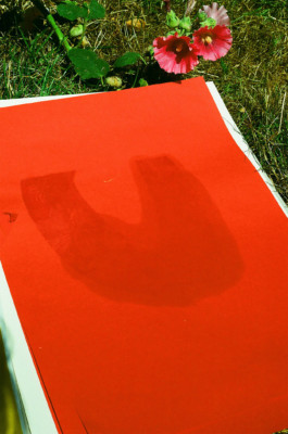 Katharina Marszewski | kmworks.de