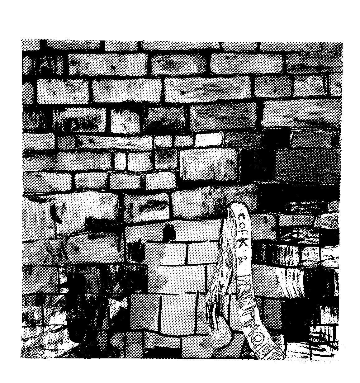 Katharina Marszewski | kmworks.de